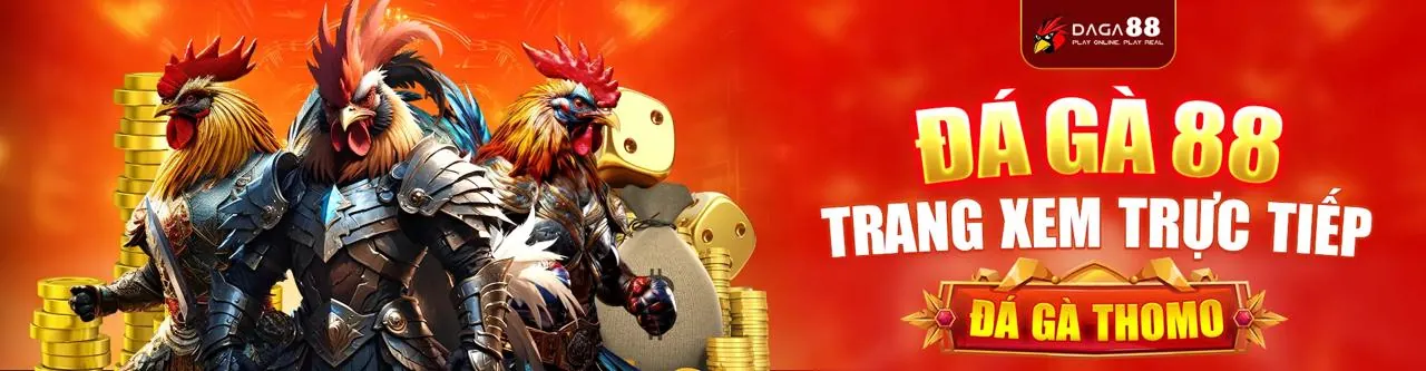 Hình ảnh biểu thị các quyền của người dùng theo GDPR tại Luck8333